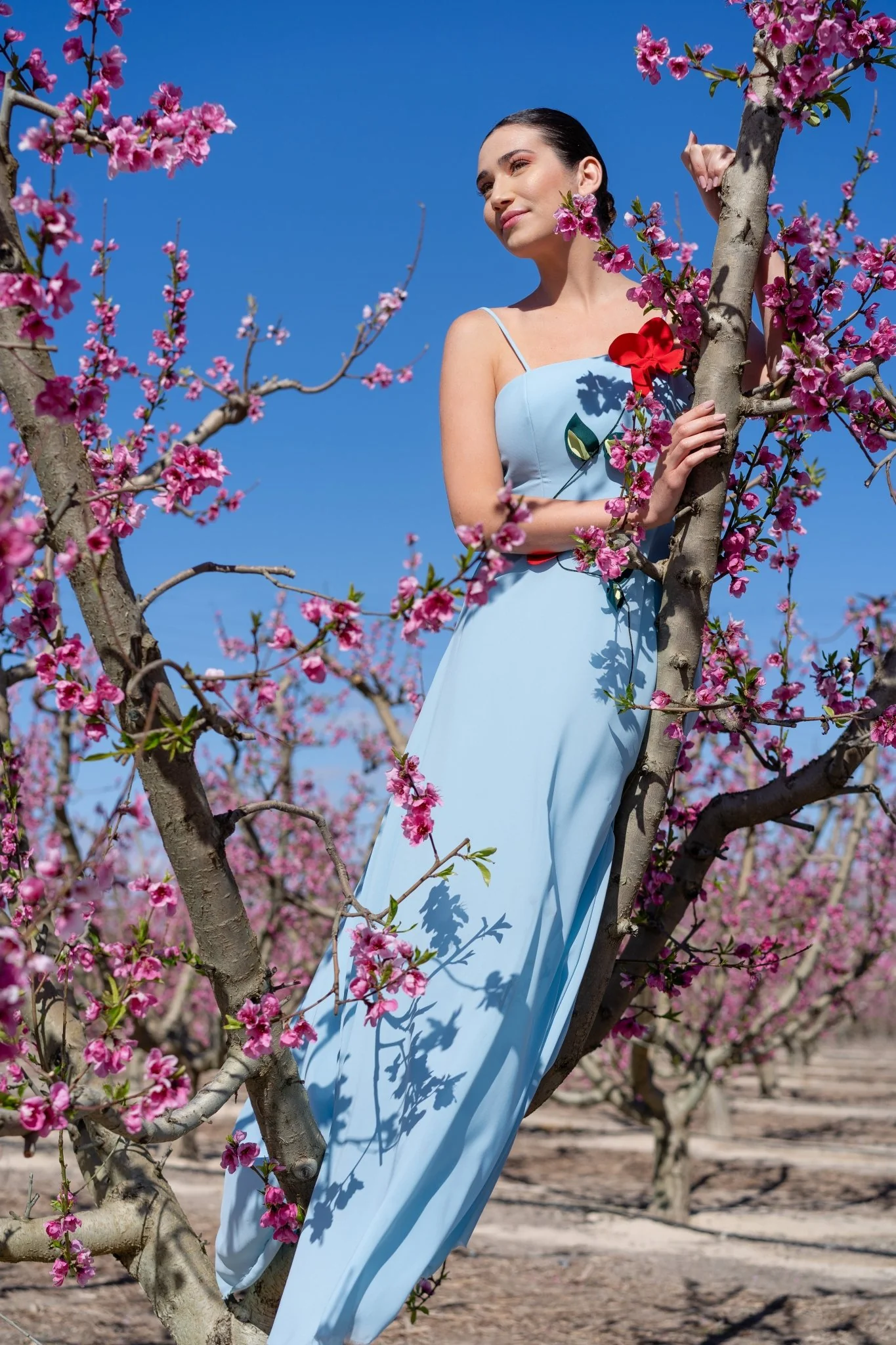 PRISCILA - Image 5
